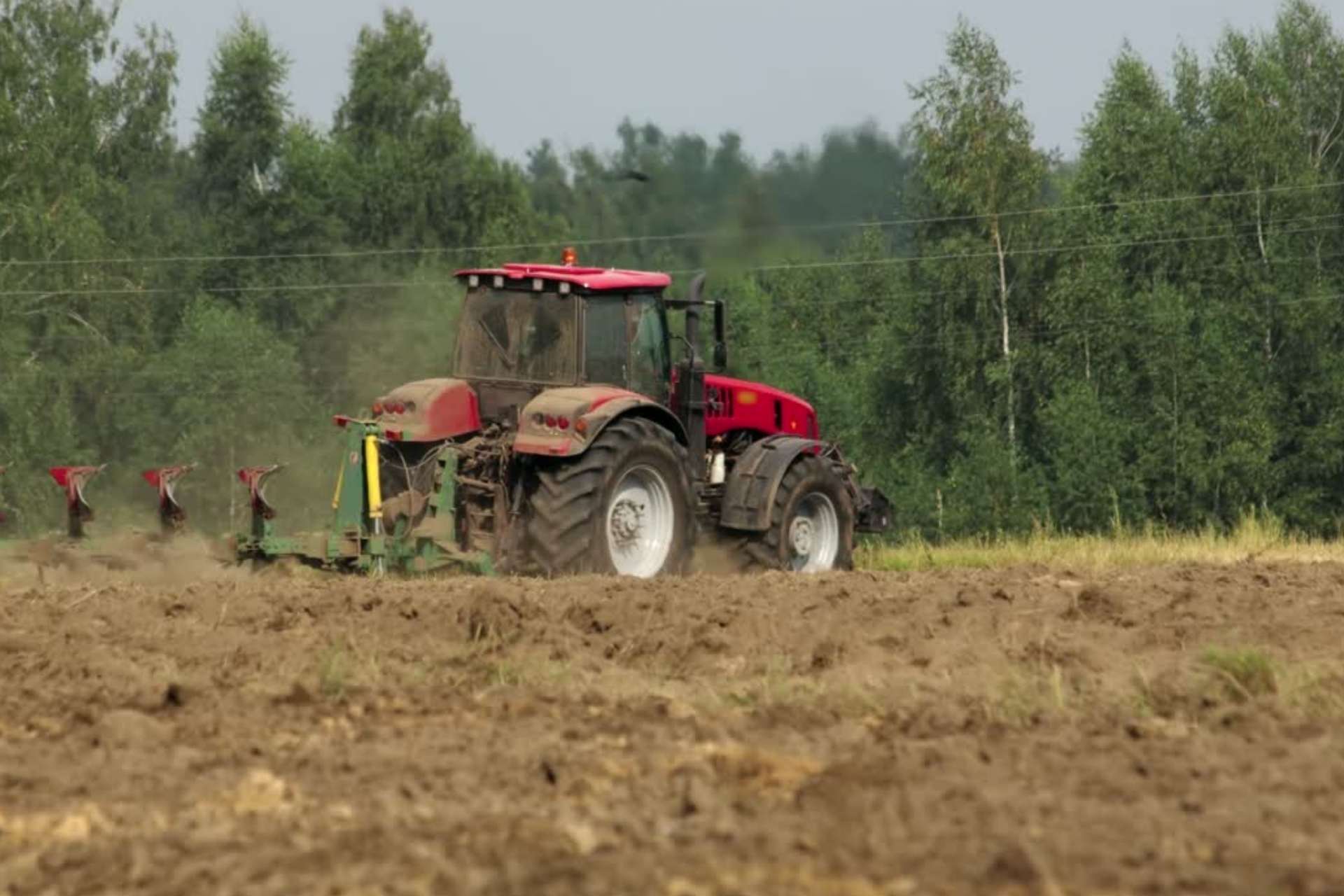 Agrobusiness